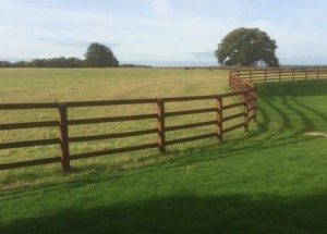 macdonald-post-and-rail-fencing-horsley